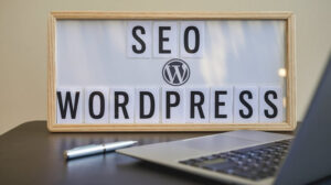 wordpress seo
